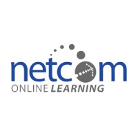 Netcom Online Learning logo - Similar company to Delrina