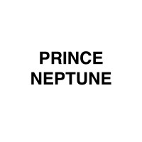 Prince Neptune logo - Similar company to Seer Creative