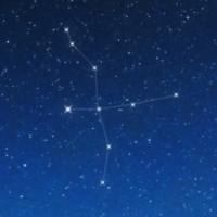 Cygnus Software logo - Similar company to Cygnus Software Services