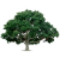 ABC Tree Service logo - Similar company to Abc Professional Tree Services, Inc.