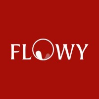 Flowy logo - Similar company to Damudo Solutions Doo
