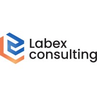 Labex Consulting logo - Similar company to Capabus