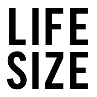 Life Size Architecture logo - Similar company to Stickland Wright