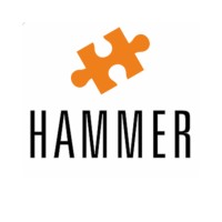Hammer VMake it Simple logo - Similar company to Un Network Pvt. Ltd.