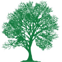 Efund Investimentos logo - Similar company to M3 Lending
