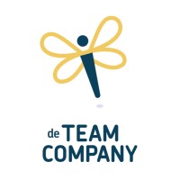 De Team Company logo - Similar company to Playwood Coaching & Training