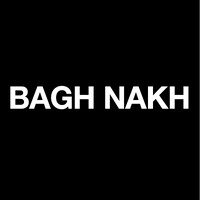 Bagh Nakh logo - Similar company to Hslu - Design Management, International