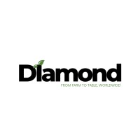 Diamond Group logo - Similar company to Diamond Developers Marketing