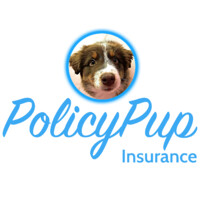 PolicyPup logo - Similar company to Mavryk Dynamics