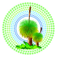 Birpai Local Aboriginal Land Council logo - Similar company to Dvinexperiences