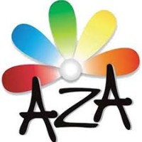AZA Animaciones logo - Similar company to Pavlova