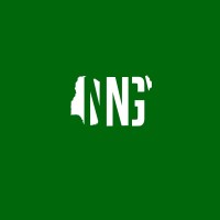 Nigeria's Next Generation (NNG) logo - Similar company to The Progression Project
