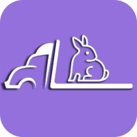 Fleet Rabbit logo - Similar company to Fleet