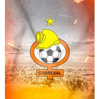 Club de Deportes Cobresal logo - Similar company to Cobreloa S.A.D.P.