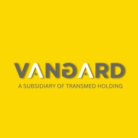 Vangard logo - Similar company to Vangard It