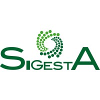Si.Gest.A. SRL logo - Similar company to Marvinet Ltd