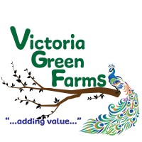 Victoria Green Farms logo - Similar company to Farmgro Africa