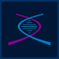 Digital Evolution Consulting logo - Similar company to Evolution Consulting And Marketing