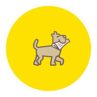 The News App GmbH logo - Similar company to Blucraft