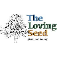 The Loving Seed logo - Similar company to Cu Broadcast