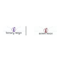 Binary Reign logo - Similar company to Cs Visual Storytelling