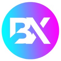BlendX Design logo - Similar company to Cogniron Technology Solutions