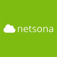 Netsona logo - Similar company to Avantech Systems