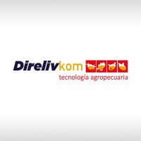 Direlivkom S.A. logo - Similar company to Jerviscorp