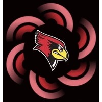 Redbird AI and Innovation logo - Similar company to American Marketing Association - Illinois State University