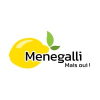 Menegalli SA logo - Similar company to Gevenit