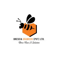 Brescia Grameen PVT LTD logo - Similar company to Hants Group