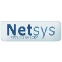 NETSYS logo - Similar company to Technet Worths