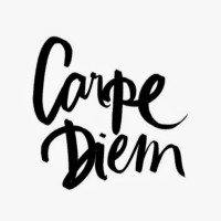 Carpe Diem Store logo - Similar company to Babylux Store