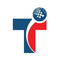 Technoidentity logo - Similar company to Techmindsystem