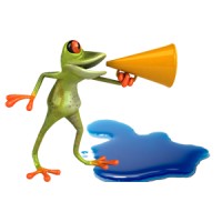 Big Frog Small Pond