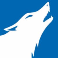Lone Wolf Resources, LLC logo - Similar company to Bay Tan Services Llc