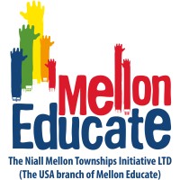 The Niall Mellon Townships Initiative Ltd. logo - Similar company to Leeve Ltd