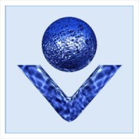 Vivid Vision Imaging - Design, Hosting, Marketing, & Support for Joomla Based eCommerce Businesses logo - Similar company to Maoz Lustig - Digital Marketing Specialist For Ecommerce Businesses