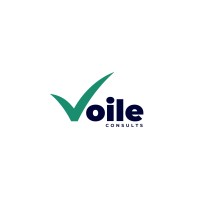 Voile Consults logo - Similar company to Borderflo