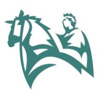 Copper Horse Contracts Limited logo - Similar company to Copper Horse Ltd