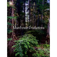 Main-Forest Productions