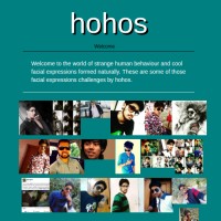 hohos logo - Similar company to Stesa Consulting