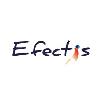 Efectis Nederland logo - Similar company to Weachieve | Recruitment Marketing