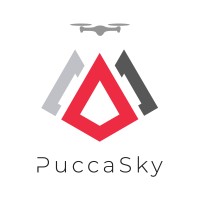 Pucca Sky logo - Similar company to Mangle Consultora