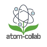 Atomic Collaborative Strategies logo - Similar company to Slap