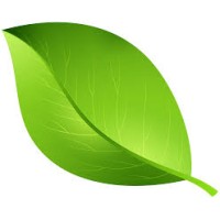 Green Leaf Pest Control