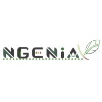 Ngenia Chile logo - Similar company to Twinviz