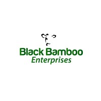 Black Bamboo Enterprises SA logo - Similar company to Volsmart