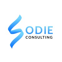 SODIE Consulting logo - Similar company to Sodie