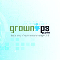 The Grownups